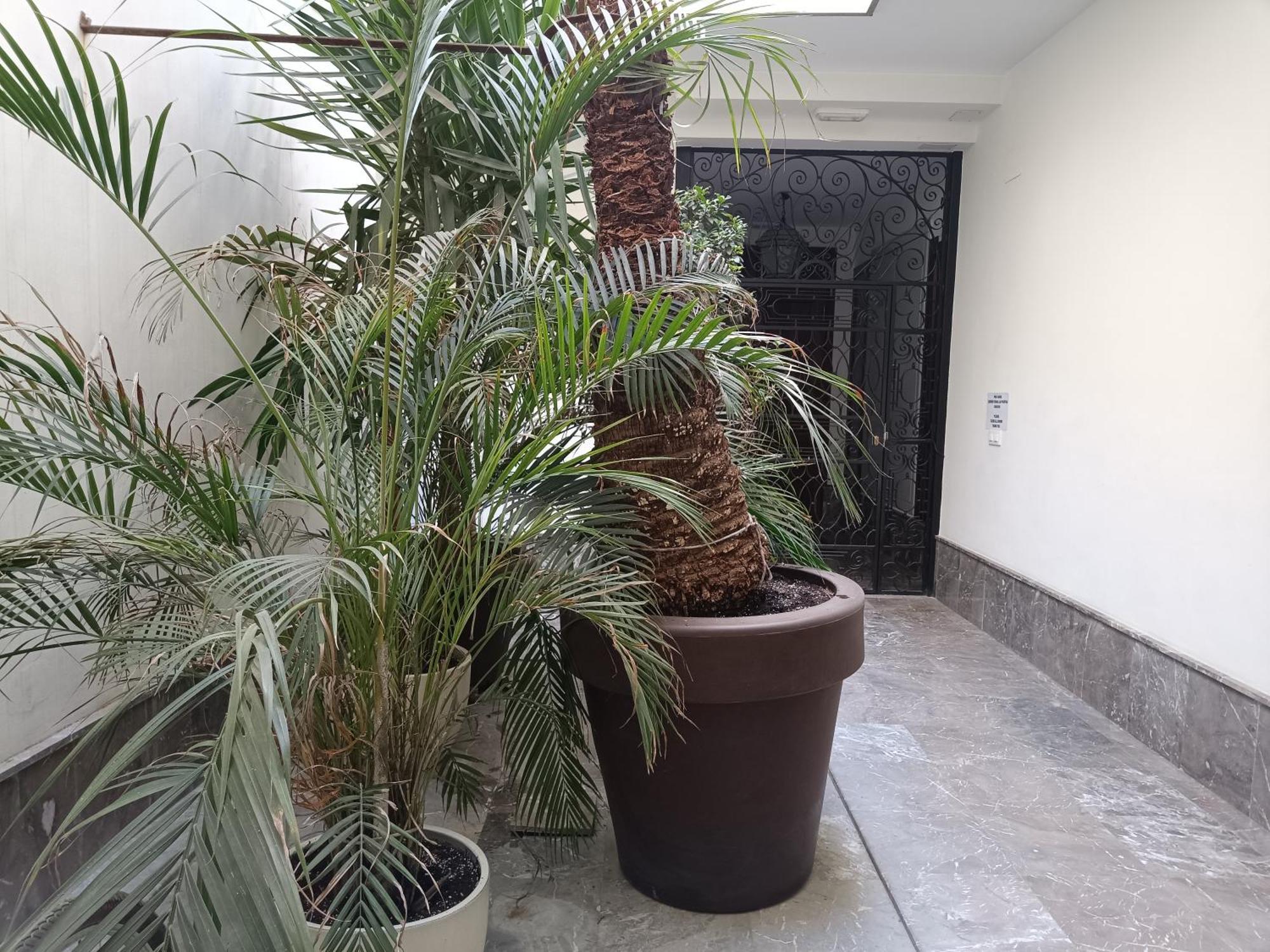 Luxury Puente De Triana Appartement Sevilla
