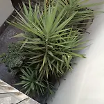 Apartamentos Luxury Puente De Triana