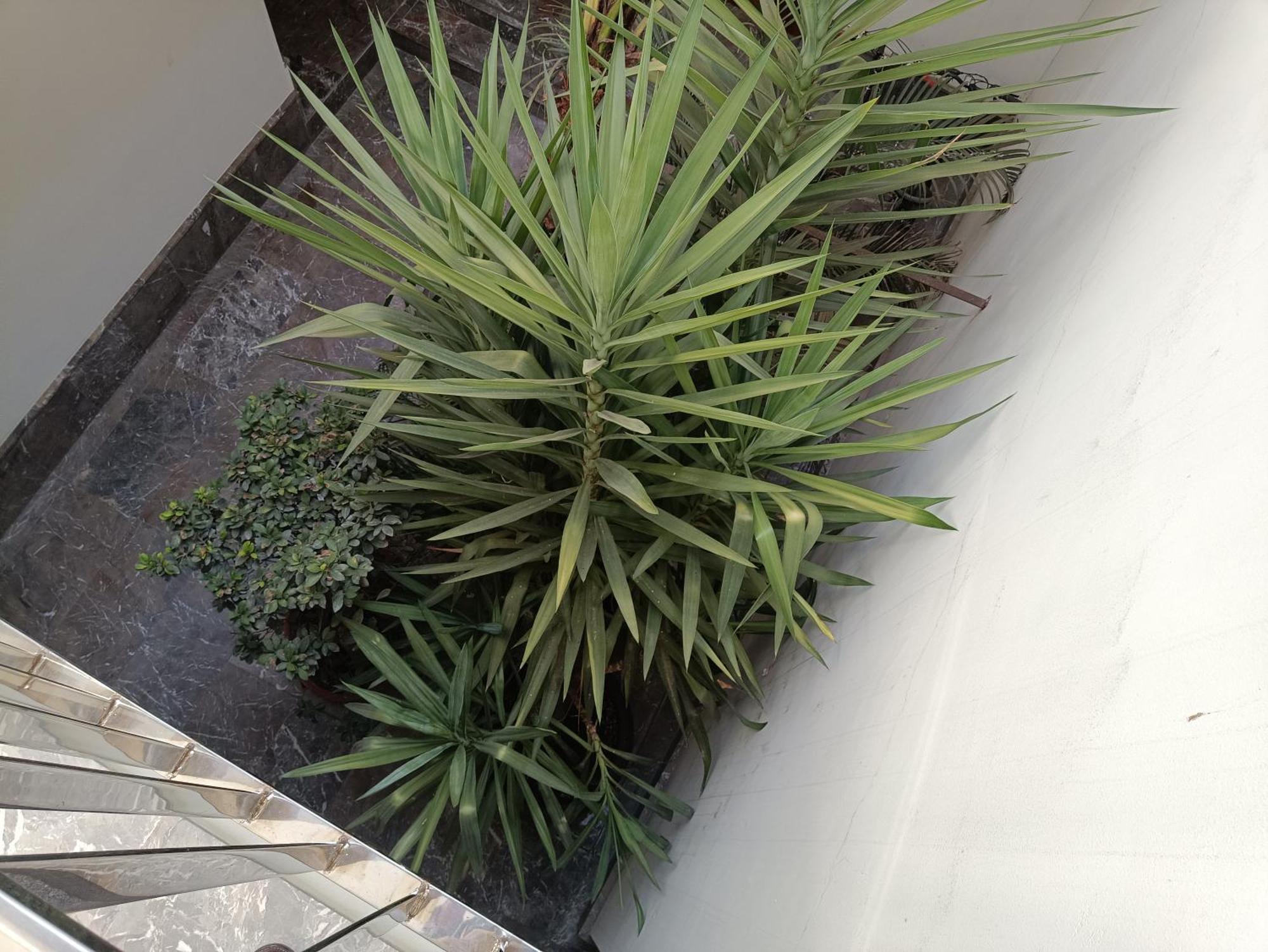 Appartement Luxury Puente De Triana *