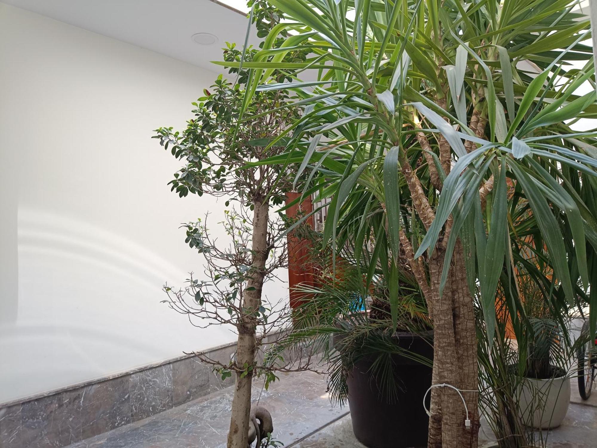 Appartement Luxury Puente De Triana
